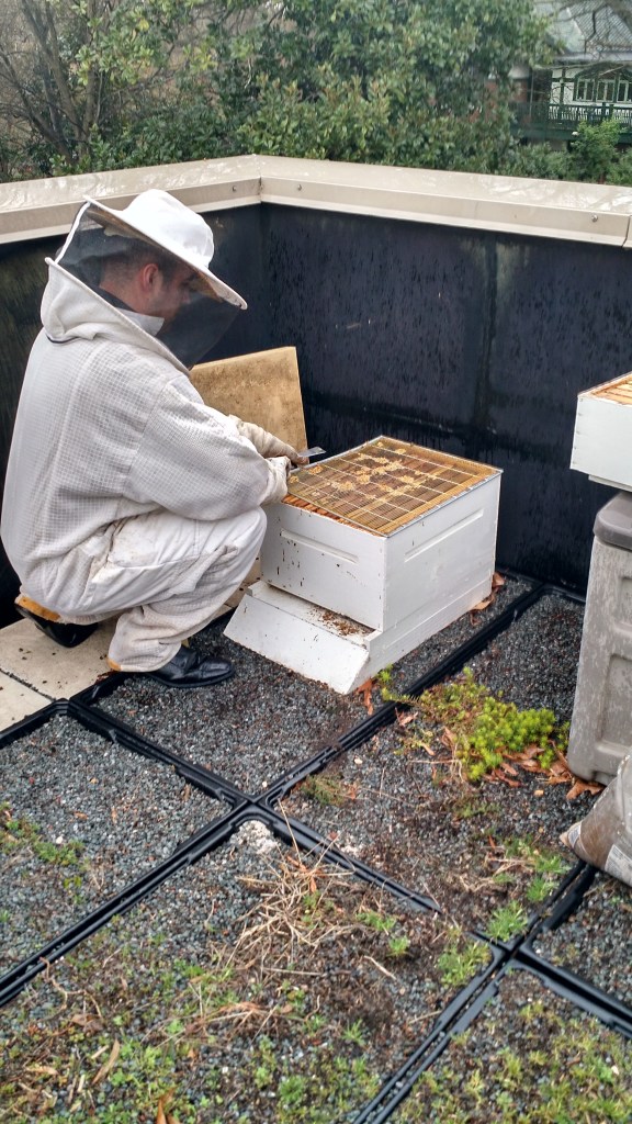 IMG_20150312_174549393_HDR