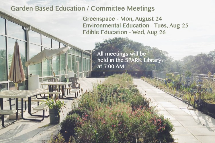 SPARK - Committee Meetings