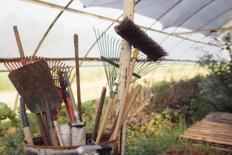 2015-06-17 Rag and Frass Farm -11