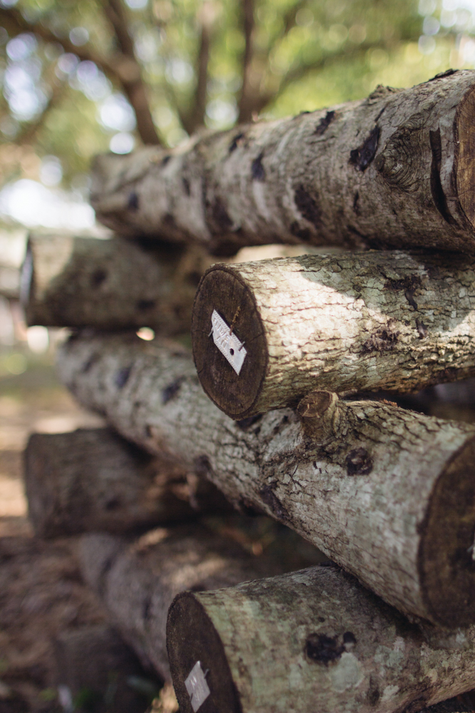 2015-06-17 Rag and Frass Farm -38