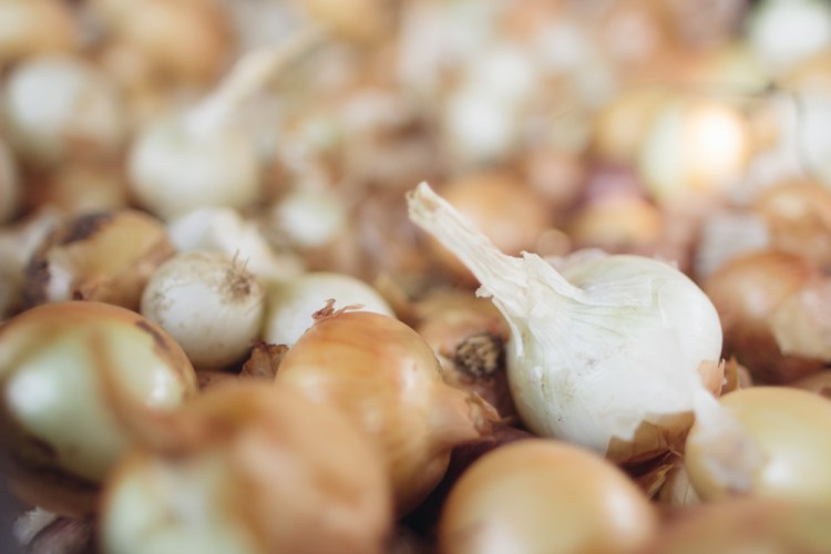 2015-06-17 Rag and Frass Farm -43