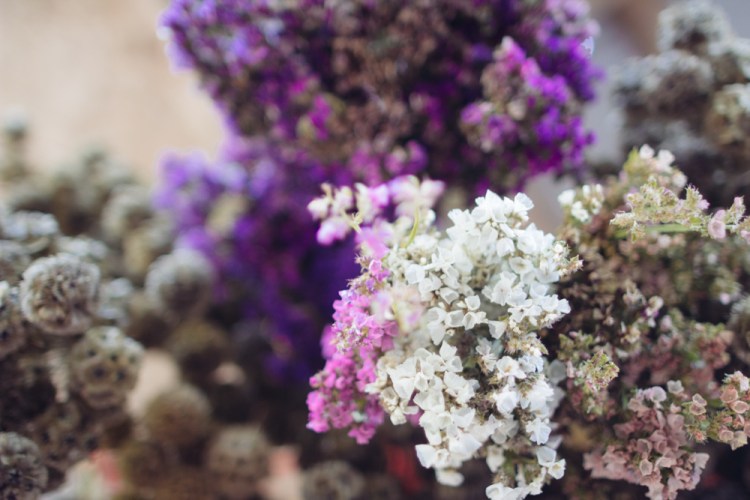 2015-06-17 Rag and Frass Farm -44