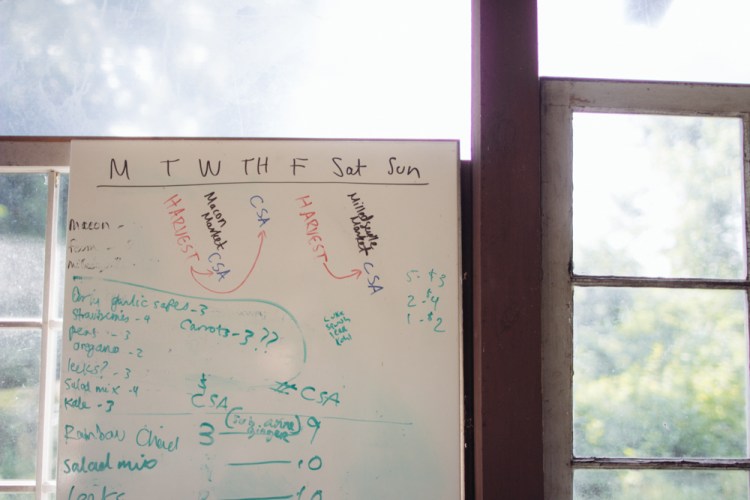 2015-06-17 Rag and Frass Farm -49