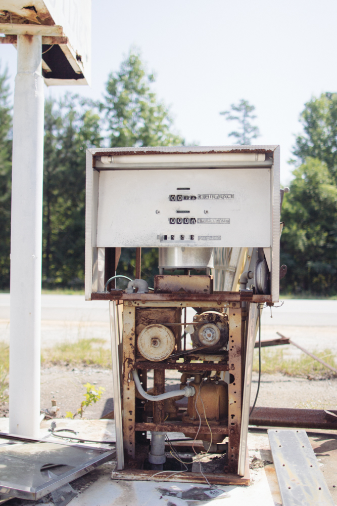 2015-06-17 Rag and Frass Farm -53