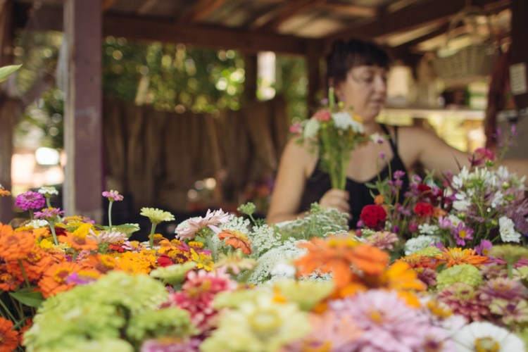 2015-06-17 Rag and Frass Farm -60