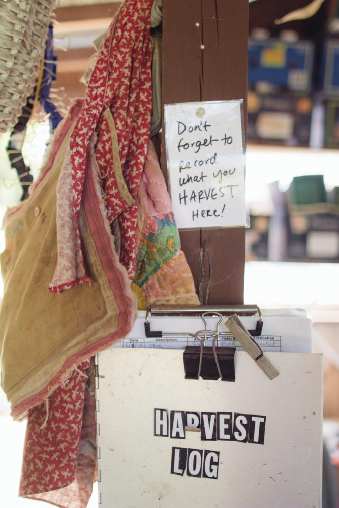 2015-06-17 Rag and Frass Farm -64