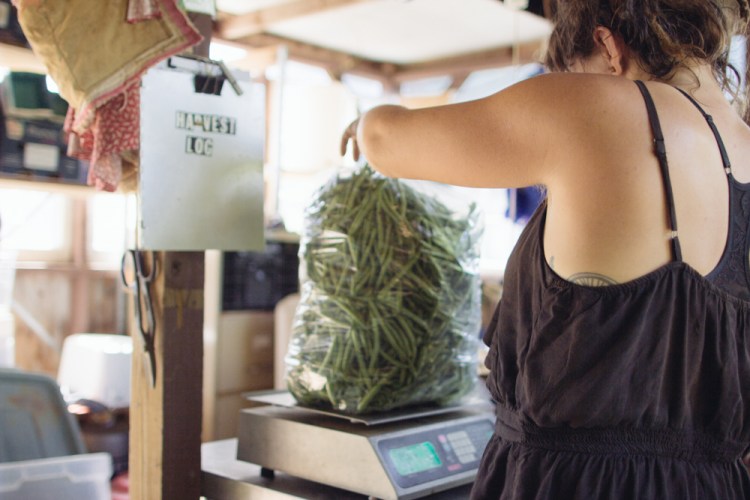 2015-06-17 Rag and Frass Farm -68