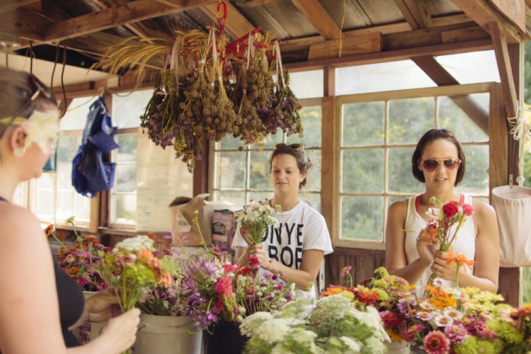 2015-06-17 Rag and Frass Farm -70