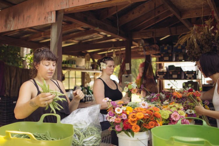 2015-06-17 Rag and Frass Farm -75