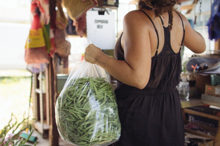 2015-06-17 Rag and Frass Farm -77