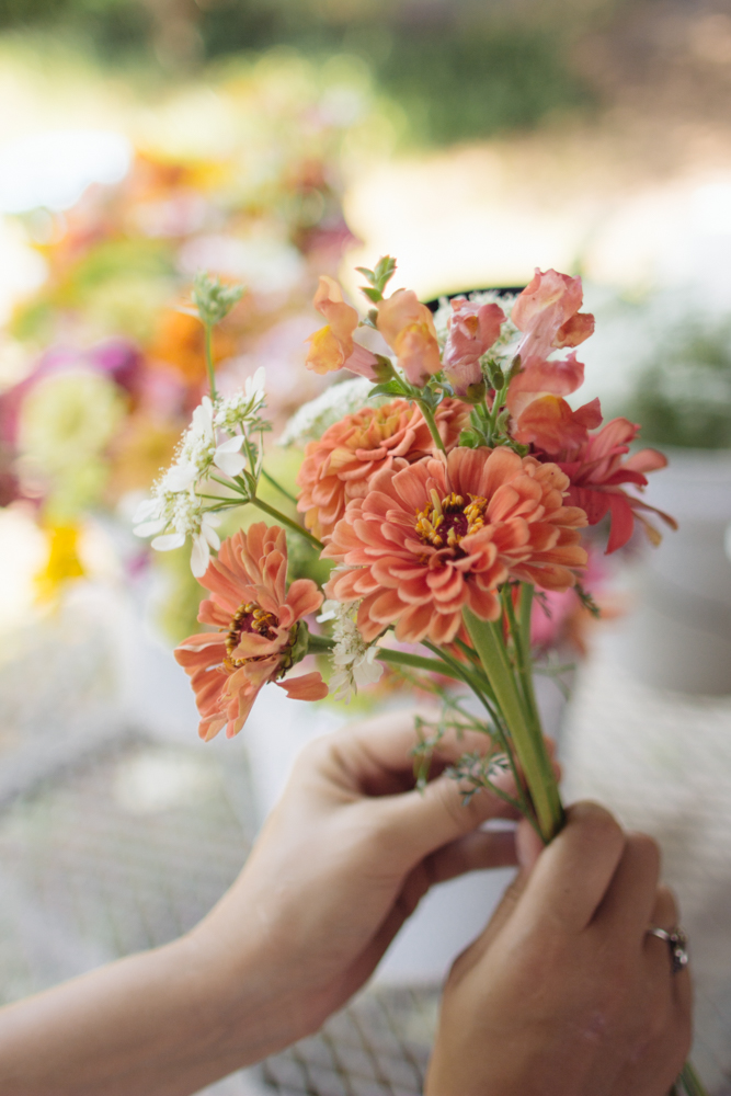 2015-06-17 Rag and Frass Farm -89