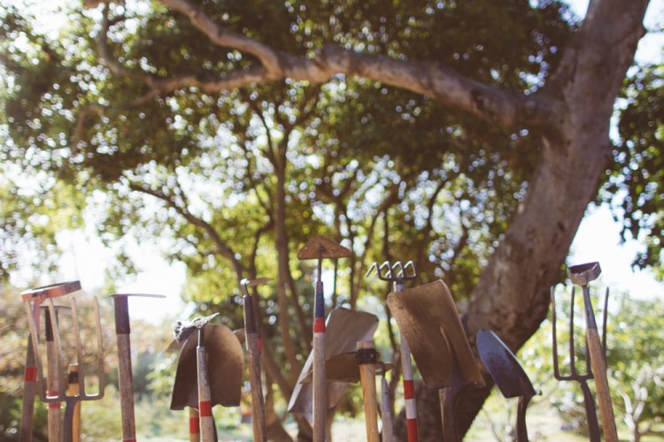 2015-10-05 Edible Schoolyard -14