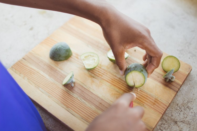 2015-10-05 Edible Schoolyard -22