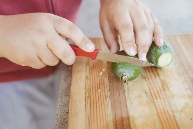 2015-10-05 Edible Schoolyard -23