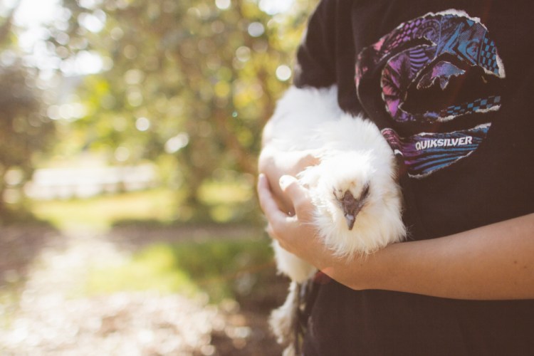 2015-10-05 Edible Schoolyard -25