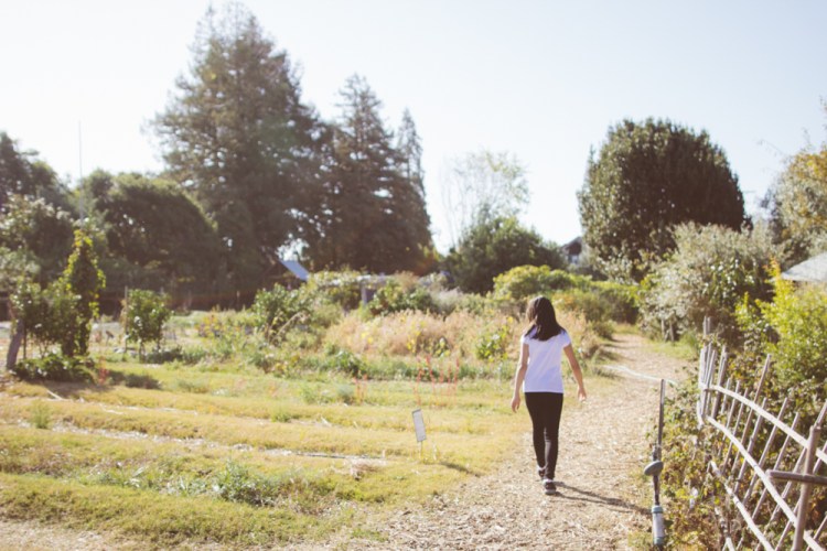 2015-10-05 Edible Schoolyard -31