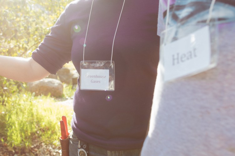 2015-10-05 Edible Schoolyard -8