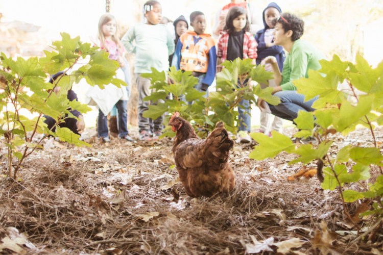 2015-10-15 Wylde Center 10