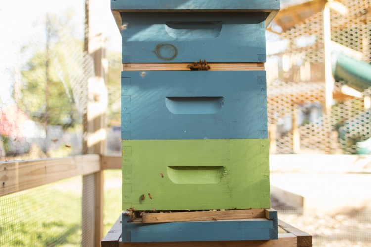 2015-10-15 Wylde Center 12