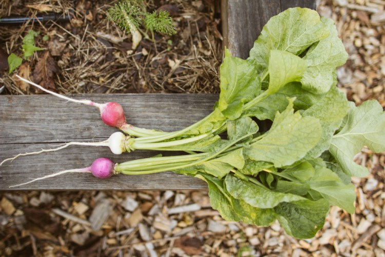 2015-10-15 Wylde Center 13