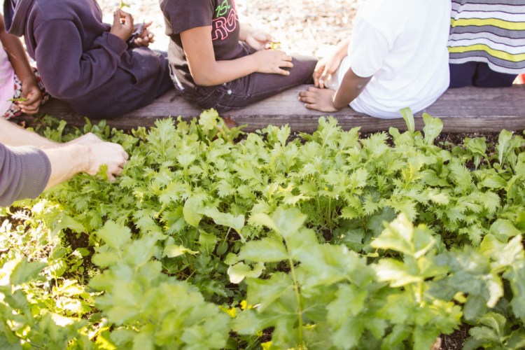 2015-10-15 Wylde Center 17