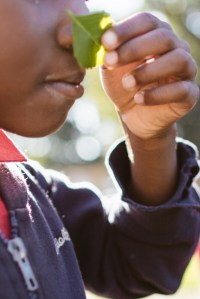 2015-10-15 Wylde Center 18