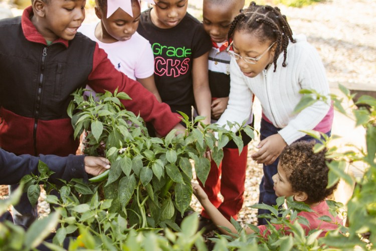 2015-10-15 Wylde Center 21