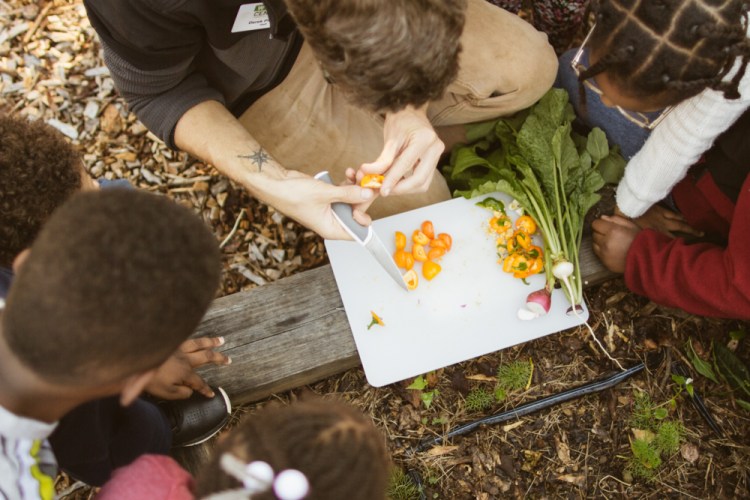 2015-10-15 Wylde Center 22