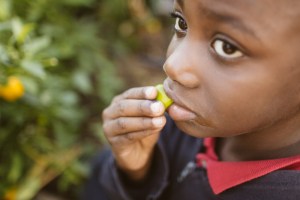 2015-10-15 Wylde Center 24