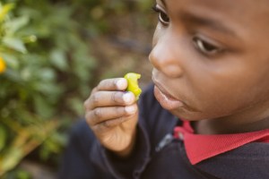 2015-10-15 Wylde Center 25