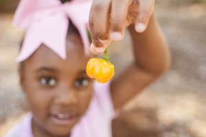 2015-10-15 Wylde Center 26