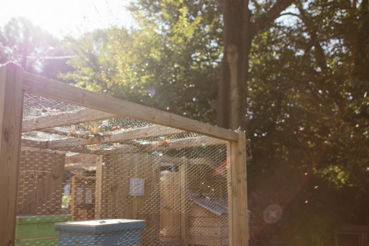 2015-10-15 Wylde Center 28