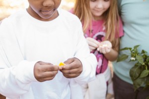 2015-10-15 Wylde Center 3