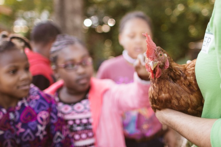 2015-10-15 Wylde Center 36