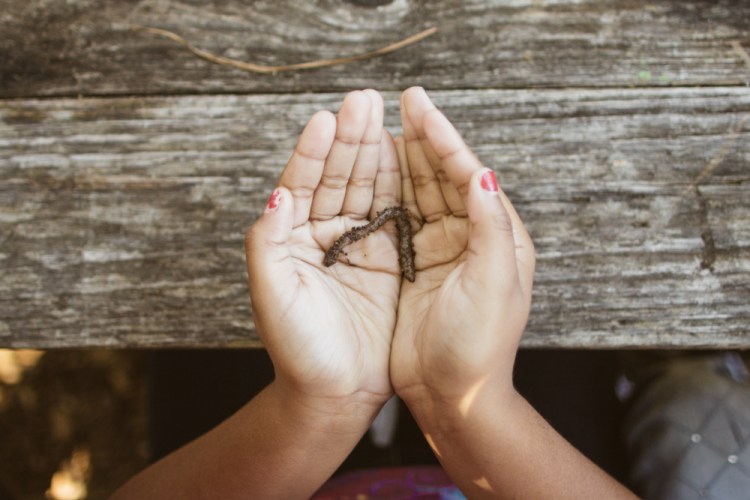 2015-10-15 Wylde Center 39