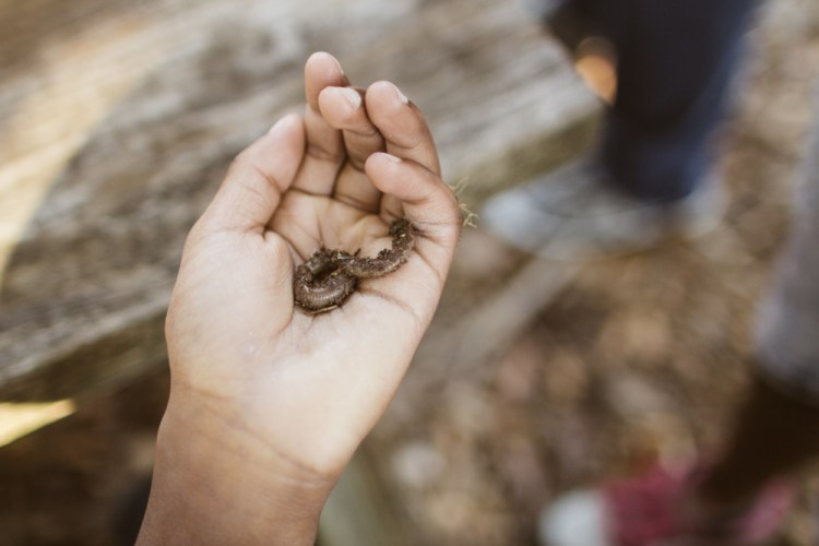 2015-10-15 Wylde Center 40