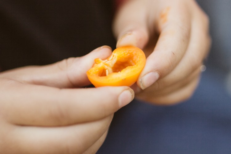 2015-10-15 Wylde Center 6