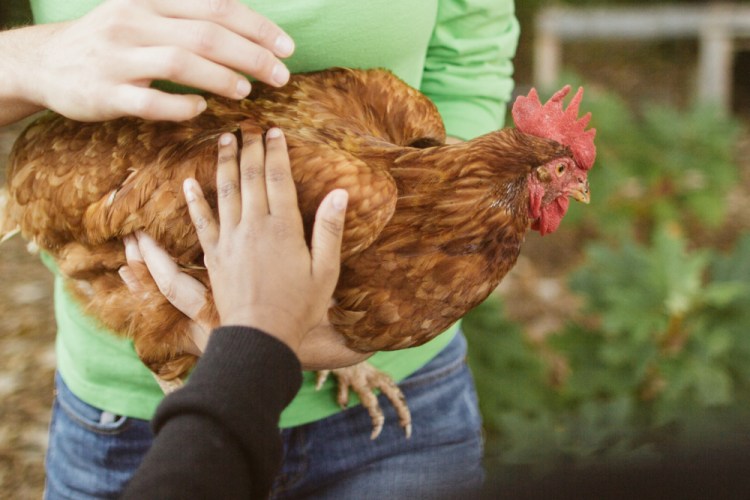 2015-10-15 Wylde Center 7