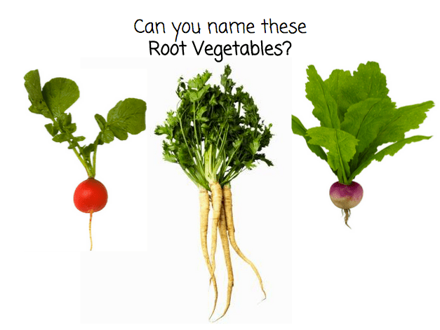 Screen Shot 2015-11-04 at 8.52.03 AM