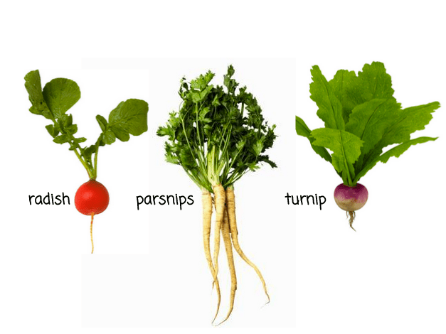 Screen Shot 2015-11-04 at 8.52.15 AM