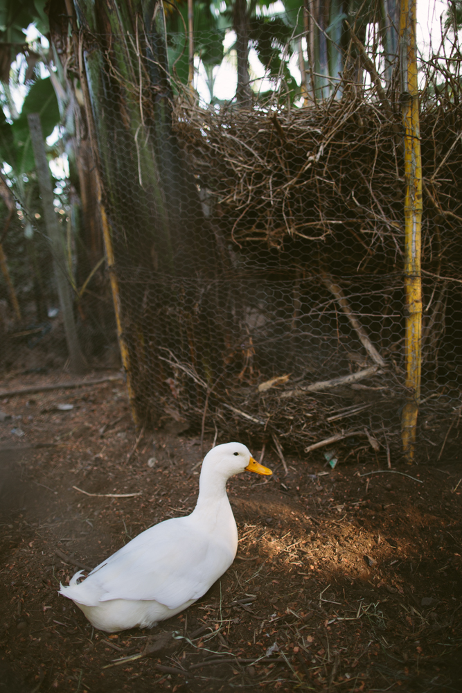 2015-12-29 Farm Visit 10