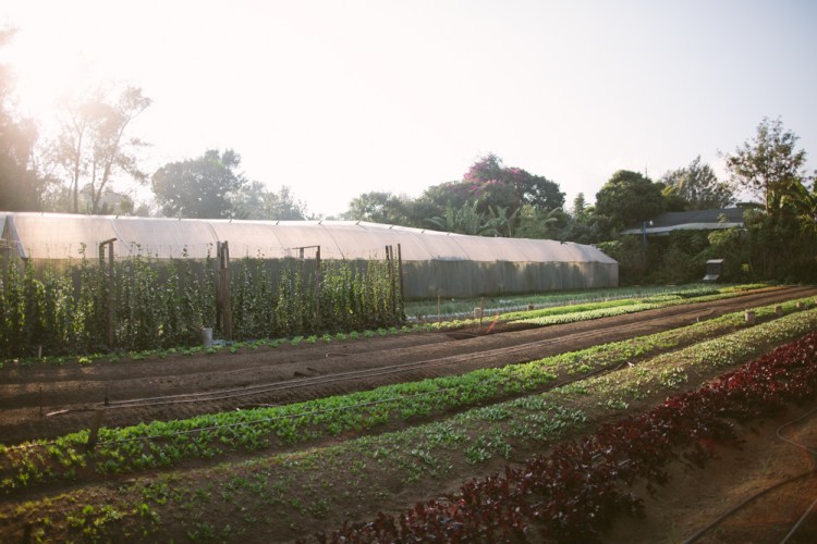 2015-12-29 Farm Visit 15