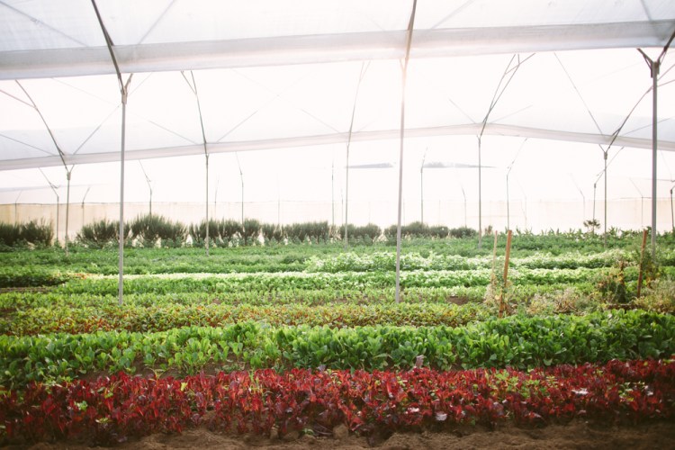 2015-12-29 Farm Visit 18