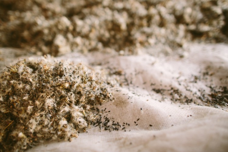 2015-12-29 Farm Visit 20