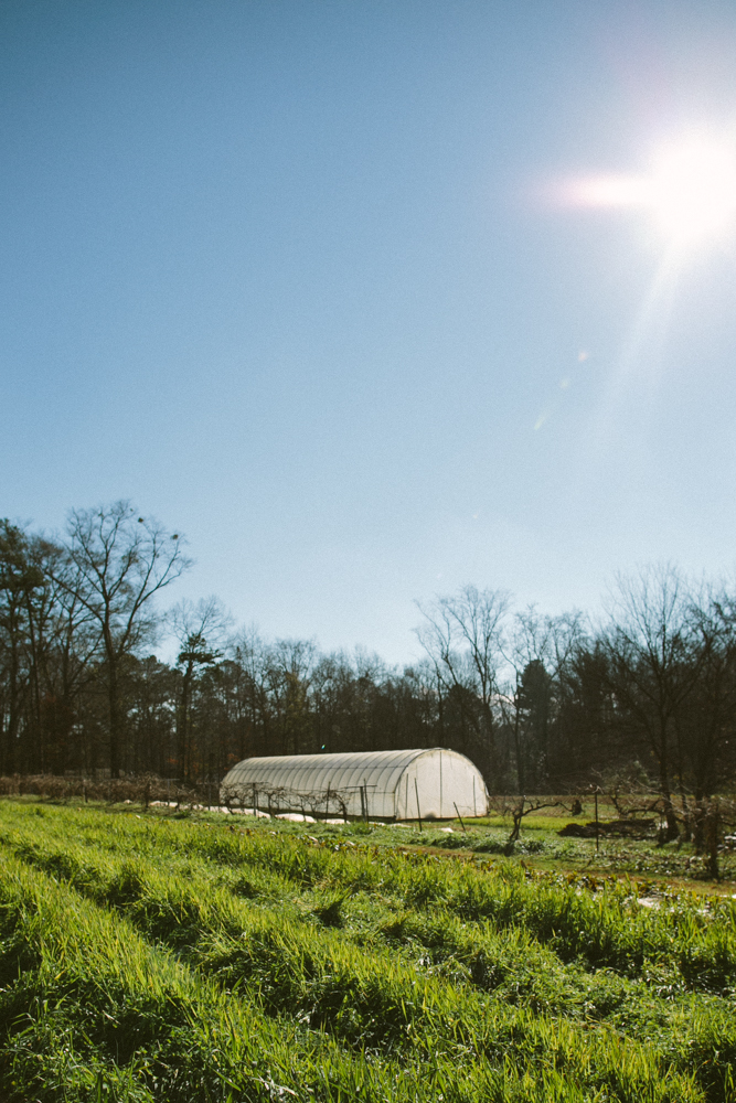 2016-01-16 Love is Love Farm 4