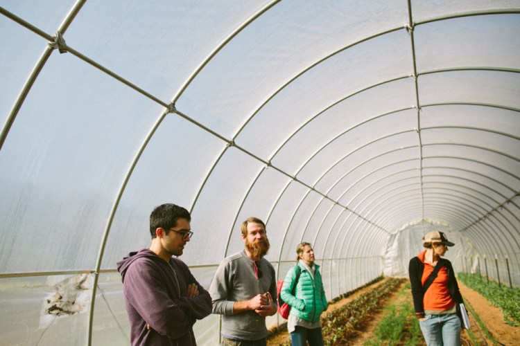 2016-01-16 Love is Love Farm 6