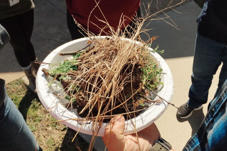 Processed with VSCOcam with kk1 preset