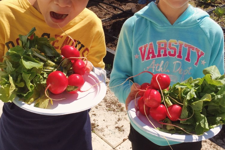 Processed with VSCOcam with kk2 preset