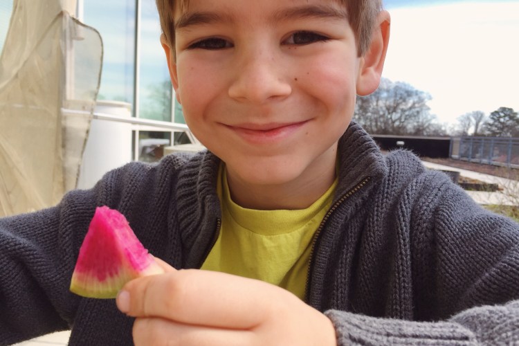 Processed with VSCOcam with kk2 preset