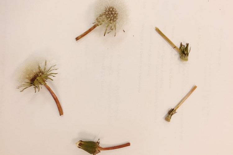 Processed with VSCOcam with kk2 preset